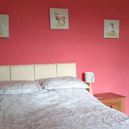 Plumtree House Bed and Breakfast Brigsteer Buitenkant foto